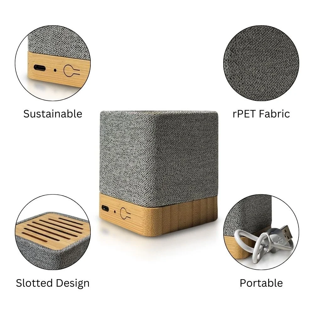 1747043795_speakers1
